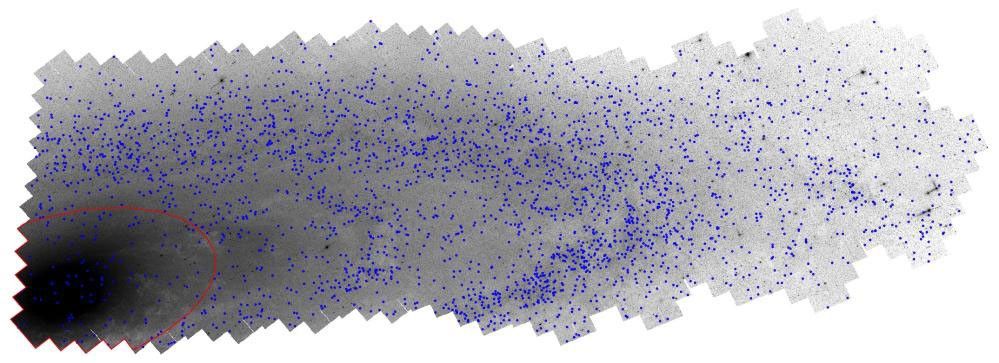 A black and white version of the Hubble PHAT mosaic of the Andromeda galaxy. Blue dots represent star clusters identified by citizen science volunteers.